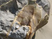 Albums/20060200-New Zealand 2006/20060315-Moeraki/18